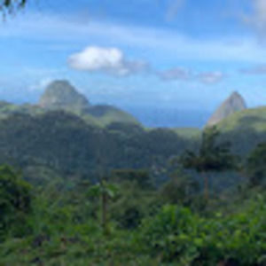 Meet your Posher, Carol